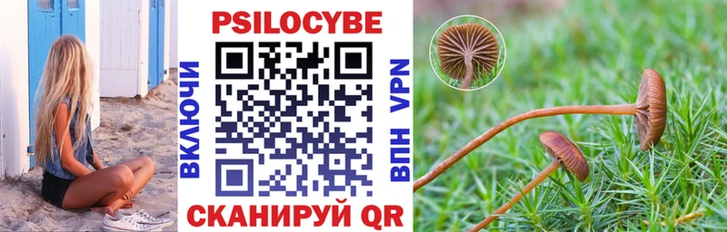 Галлюциногенные грибы Psilocybe  hydra ONION  Полысаево  что такое  