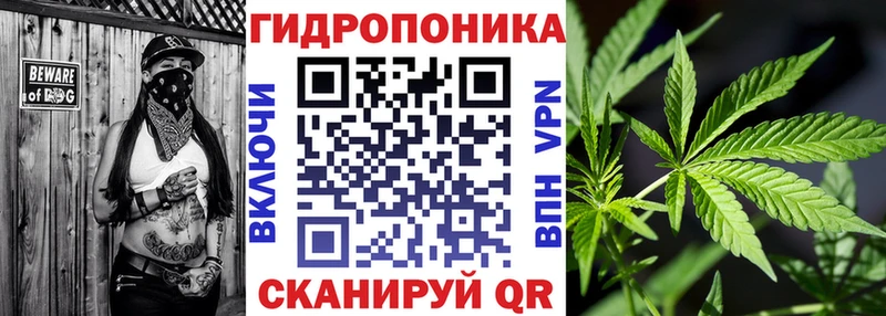купить закладку  мега ССЫЛКА  Каннабис VHQ  Полысаево 